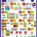 Antevisão Folheto PINGO DOCE Madeira Promoções de 23 a 29 agosto