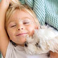 Antevisão Folheto LIDL Especial Animais Promoções a partir de 3 outubro