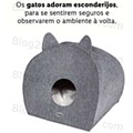 Antevisão Folheto LIDL Especial Animais Promoções a partir de 3 outubro