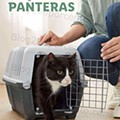 Antevisão Folheto LIDL Especial Animais Promoções a partir de 3 outubro