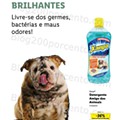 Antevisão Folheto LIDL Especial Animais Promoções a partir de 3 outubro