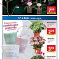 Antevisão Folheto LIDL Mercado de Plantas Promoções de 26 setembro a 2 outubro