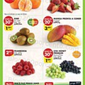 Antevisão Folheto PINGO DOCE Lojas Norte Promoções de 24 a 30 janeiro