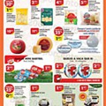 Antevisão Folheto PINGO DOCE Lojas Norte Promoções de 24 a 30 janeiro