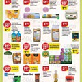 Antevisão Folheto PINGO DOCE Lojas Norte Promoções de 24 a 30 janeiro