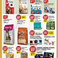 Antevisão Folheto PINGO DOCE Lojas Norte Promoções de 24 a 30 janeiro