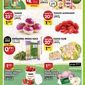 Antevisão Folheto PINGO DOCE Lojas Grandes Promoções de 31 janeiro a 6 fevereiro