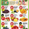Antevisão Folheto PINGO DOCE Madeira Promoções de 31 janeiro a 6 fevereiro