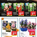 Antevisão Folheto LIDL Promoções de 23 a 29 janeiro - Edição Digital e Completa
