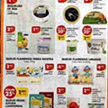 pingo doce, Folheto Pingo Doce Promoções de 31 janeiro a 6 fevereiro