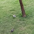 20230615_204038.jpg