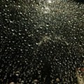 20240208_200806.jpg