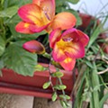 20240213_105318.jpg