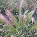 20240502_201052.jpg