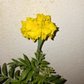 20240612_220640.jpg