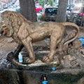 20240825_080139.jpg