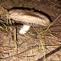 20241016_191125.jpg