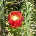 20250222_122320.jpg