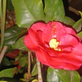 20250312_213527.jpg