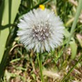 20250527_120444.jpg