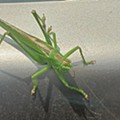 20250610_142830.jpg