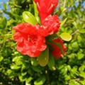 20250616_184911.jpg