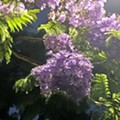 20250628_213805.jpg