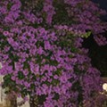 20250629_215642.jpg