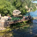 20250713_144546.jpg