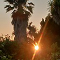 20250728_203309.jpg