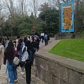 IMG-20250217-WA0001.jpeg