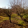 IMG_20180220_144302.jpg