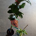 IMG_20180221_163501.jpg