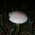 IMG_20190924_195954.jpg