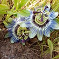 IMG_20200501_180636.jpg