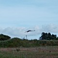 IMG_20200501_181501.jpg