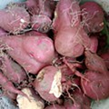 IMG_20201003_182813.jpg