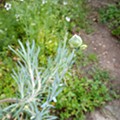 IMG_20210425_085508.jpg