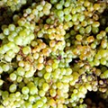 IMG_20211006_203932.jpg