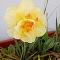 IMG_20220424_095931.jpg