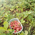 IMG_20220718_092316.jpg