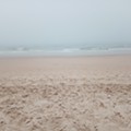 IMG_20220801_141611.jpg