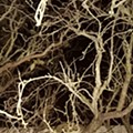IMG_20221118_222103.jpg