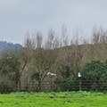 IMG_20230107_144518.jpg