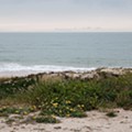 IMG_20230403_155614.jpg