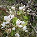 IMG_20230404_193938.jpg