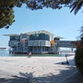 IMG_20230420_114120.jpg
