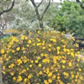 IMG_20230421_182929.jpg