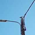 IMG_20230422_184210.jpg