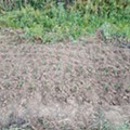 IMG_20230423_181617.jpg